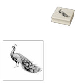 Moderne trendy pauw rubberstempel (Gestempeld)