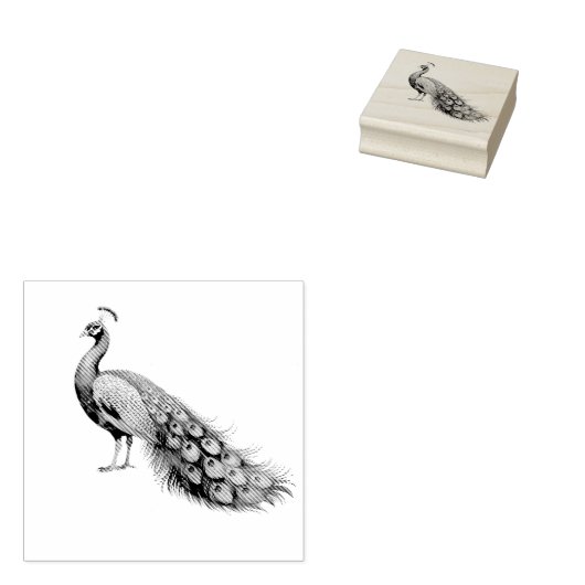 Moderne trendy pauw rubberstempel (Gestempeld)