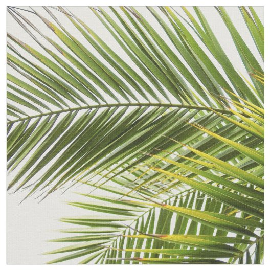 Moderne tropische palmbladeren stof (Close Up)