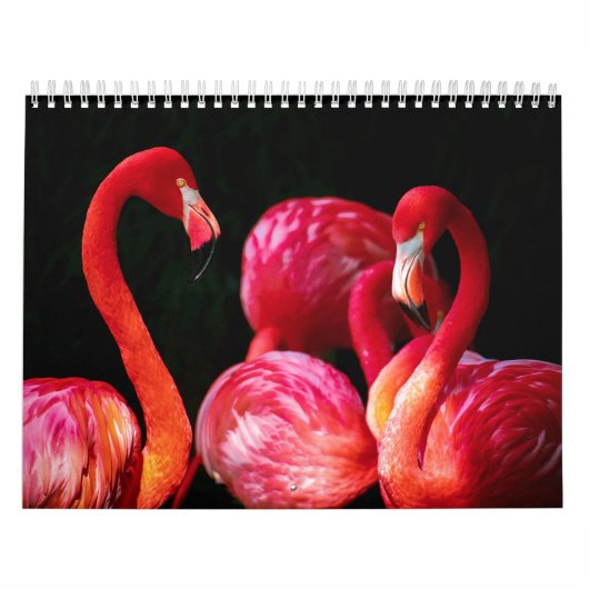 Moderne tropische roze flamingo kalender (Hoes)