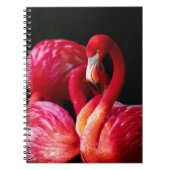 Moderne tropische roze flamingo notitieboek (Voorkant)