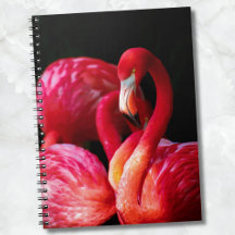 Moderne tropische roze flamingo