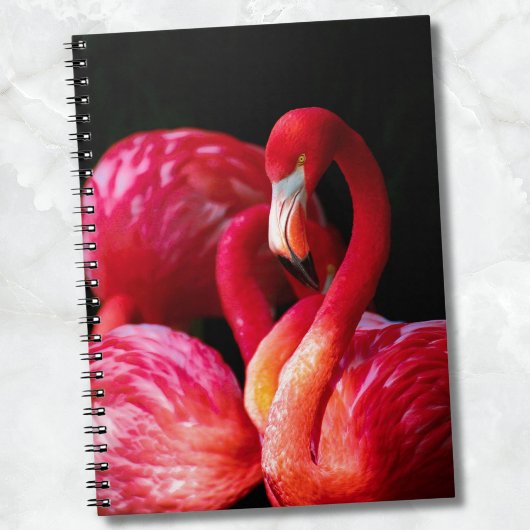Moderne tropische roze flamingo notitieboek