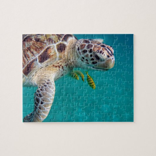 Moderne tropische schildpad legpuzzel (Horizontaal)