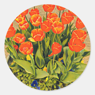 Moderne tulpen, kleurrijk sinaasappel ronde sticker