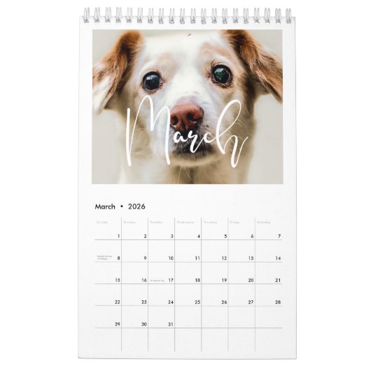 Moderne typografie 2021 familiefoto's kalender (Mar 2026)