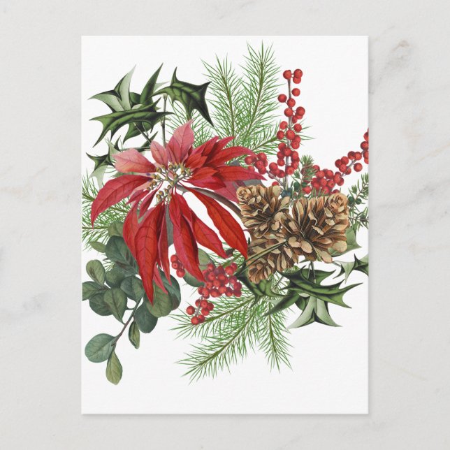 moderne  vakantiepansettia floral feestdagenkaart (Voorkant)