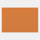 Moderne verbrande Sinaasappels herfst Inpakpapier Vel (Voorkant 2)