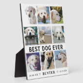 Moderne verlies van huisdier | Beste hond ooit fot Fotoplaat (Zijkant)