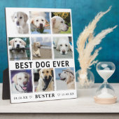 Moderne verlies van huisdier | Beste hond ooit fot Fotoplaat (Zijkant)