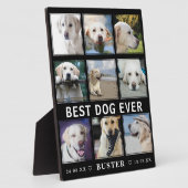 Moderne verlies van huisdier | Beste hond ooit fot Fotoplaat (Zijkant)