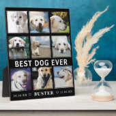 Moderne verlies van huisdier | Beste hond ooit fot Fotoplaat (Zijkant)