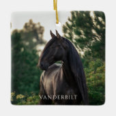 Moderne vierkant vizier met aangepast fotopaard keramisch ornament (Voorkant)