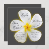 Moderne Vierkant Witte Plumeria Flower, sla de dat Kaart (Voorkant / Achterkant)