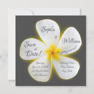 Moderne Vierkant Witte Plumeria Flower, sla de dat Kaart