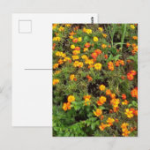 Moderne Vintage Botanische Tuin Ansichtkaart Briefkaart (Voorkant / Achterkant)