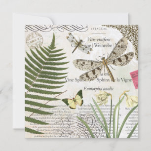 moderne vintage Franse libel