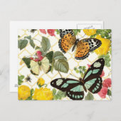 moderne vlindertuin briefkaart (Voorkant / Achterkant)