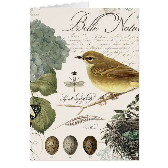 moderne  vogel en nest (Voorkant)