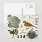 moderne  vogel en nest briefkaart (Voorkant / Achterkant)