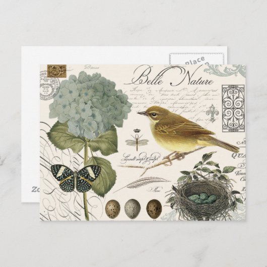 moderne  vogel en nest briefkaart (Voorkant / Achterkant)