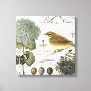 moderne  vogel en nest canvas afdruk