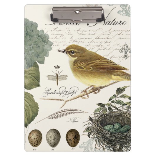 moderne vogel en nest klembord (Voorkant)