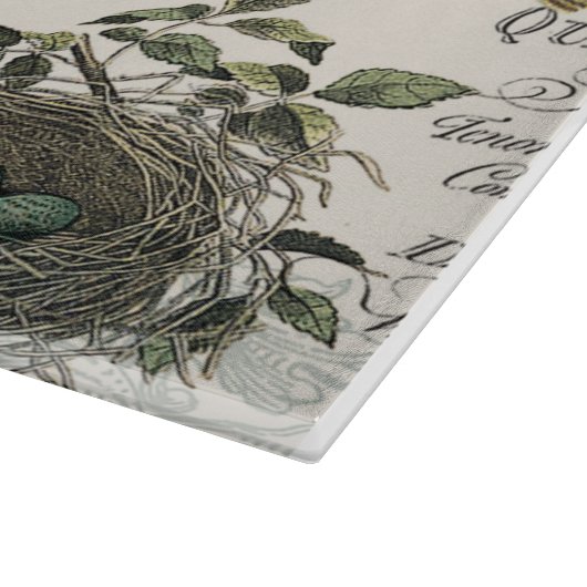 moderne  vogel en nest snijplank (Hoek)