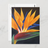 Moderne vogel van het Paradise tropische houtschil Briefkaart (Voorkant / Achterkant)