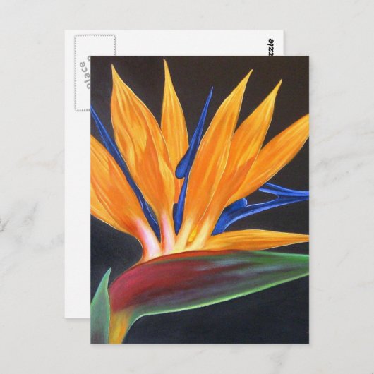 Moderne vogel van het Paradise tropische houtschil Briefkaart (Voorkant / Achterkant)