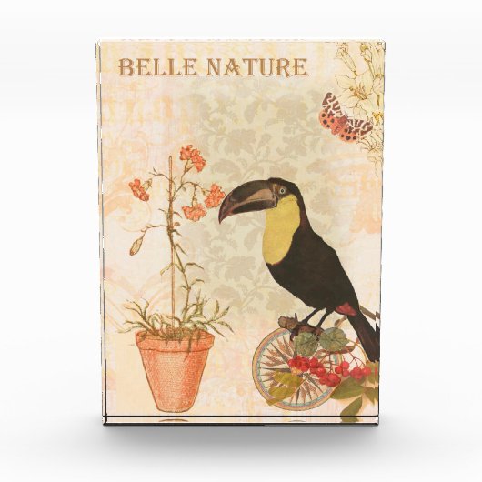 Moderne  vogelroze vlinder fotoblokken (Voorkant)