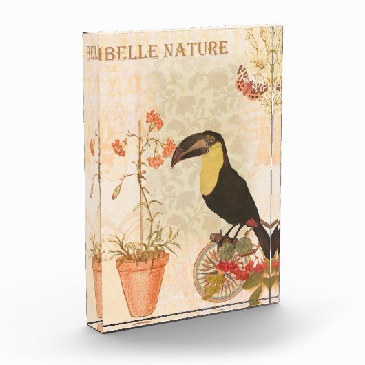 Moderne  vogelroze vlinder fotoblokken (Links)