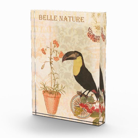 Moderne  vogelroze vlinder fotoblokken (Rechts)