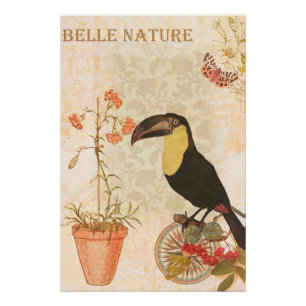 Moderne  vogelroze vlinder perfect poster