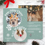 Moderne vrolijke kerst pawliday huisdieren leuk 3  feestdagenkaart<br><div class="desc">Deel de vreugde van het seizoen met ons Paw-liday Cheer Christmas Photo Wenskaart! Dit moderne en speelse ontwerp heeft twee schattige foto's van dierenhonden in cirkelmaskers, omringd door feestelijke tekst die staartkwispelende opwinding overbrengt. Het pootteken, licht bestrooid met sneeuw, voegt een charmante touch toe aan een bewerkbare ijsblauwe achtergrond. Draai...</div>