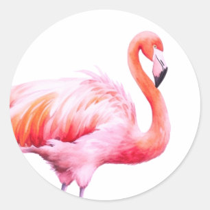 Moderne Waterverf Roze Flamingo Ronde Sticker