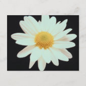 moderne webprofielkaart voor daisy informatiekaartje (Achterkant)