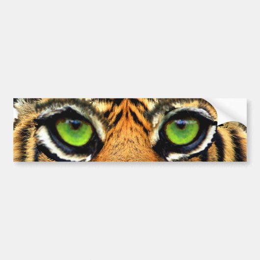 Moderne Wilde Tijger Bumpersticker (Voorkant)