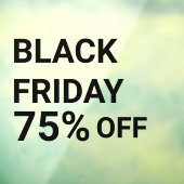 Moderne Winkelraam Black Friday Sale Raamsticker (Vel 3)