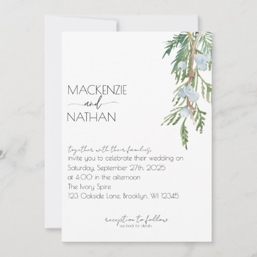 Moderne Winter Wedding Frosted Berries uitnodiging (Voorkant)