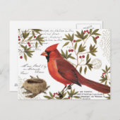 moderne  winterkardinaal briefkaart (Voorkant / Achterkant)