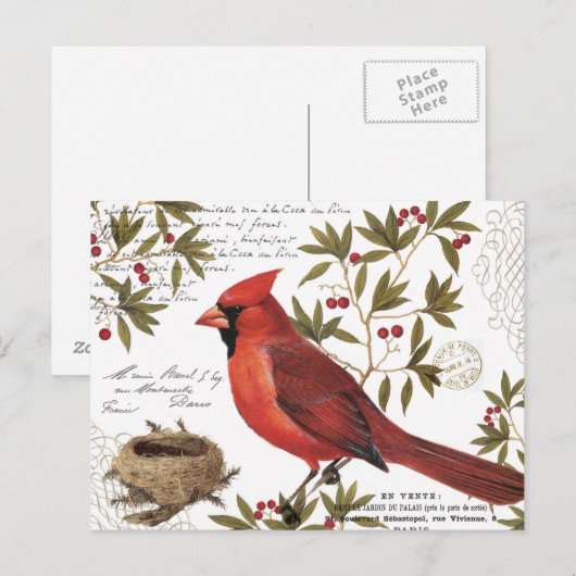 moderne  winterkardinaal briefkaart (Voorkant / Achterkant)