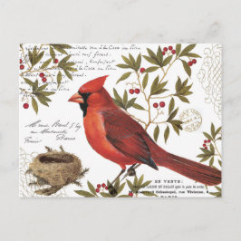moderne winterkardinaal briefkaart