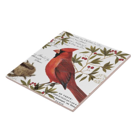 moderne winterkardinaal tegeltje (Zijkant)
