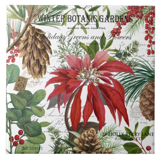 Moderne wintertuin tegeltje (Voorkant)