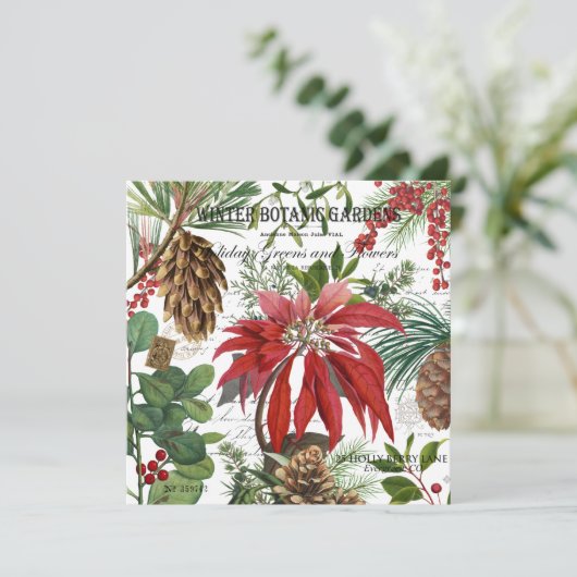 Moderne  wintertuinbloem (Staand voorkant)