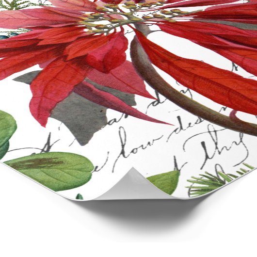 Moderne  wintertuinspost briefkaart poster (Hoek)