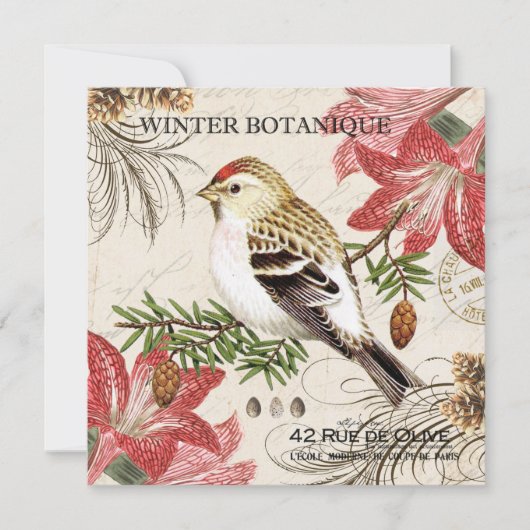 moderne  wintervogel (Voorkant)