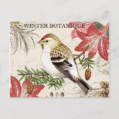 moderne  wintervogel briefkaart (Voorkant)