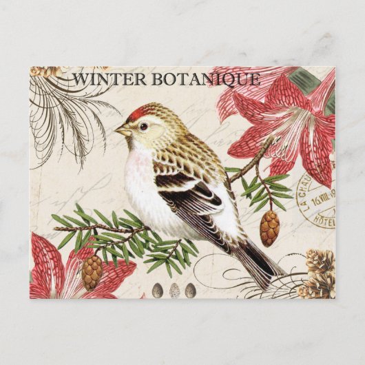 moderne  wintervogel briefkaart (Voorkant)